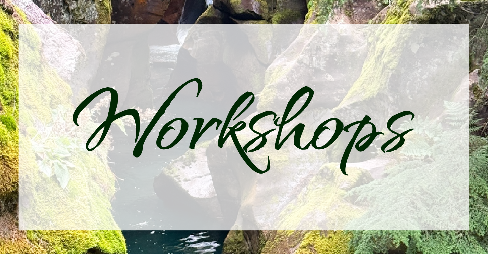 Workshops